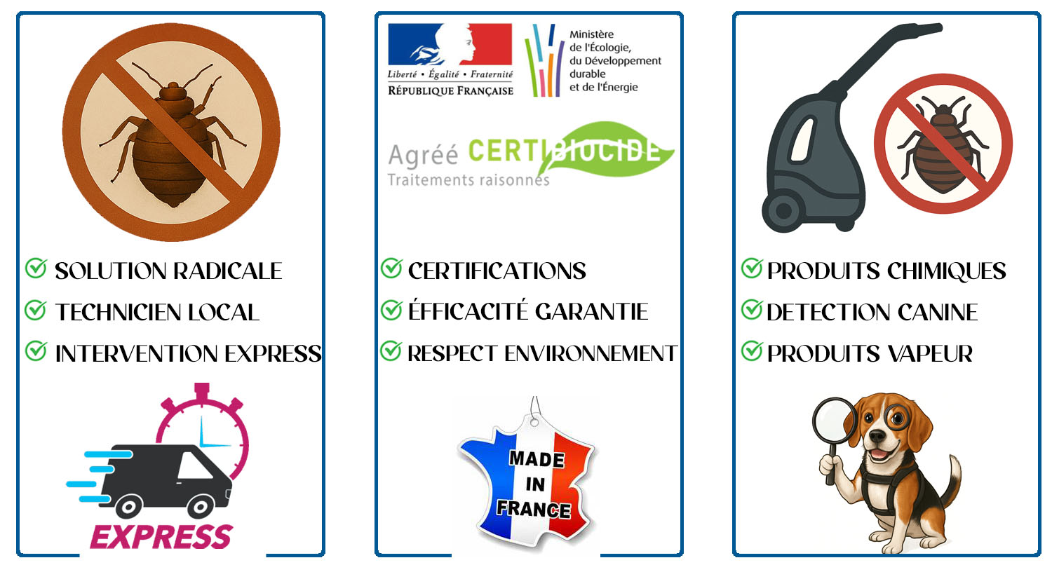 Punaises de Lit Montmorency