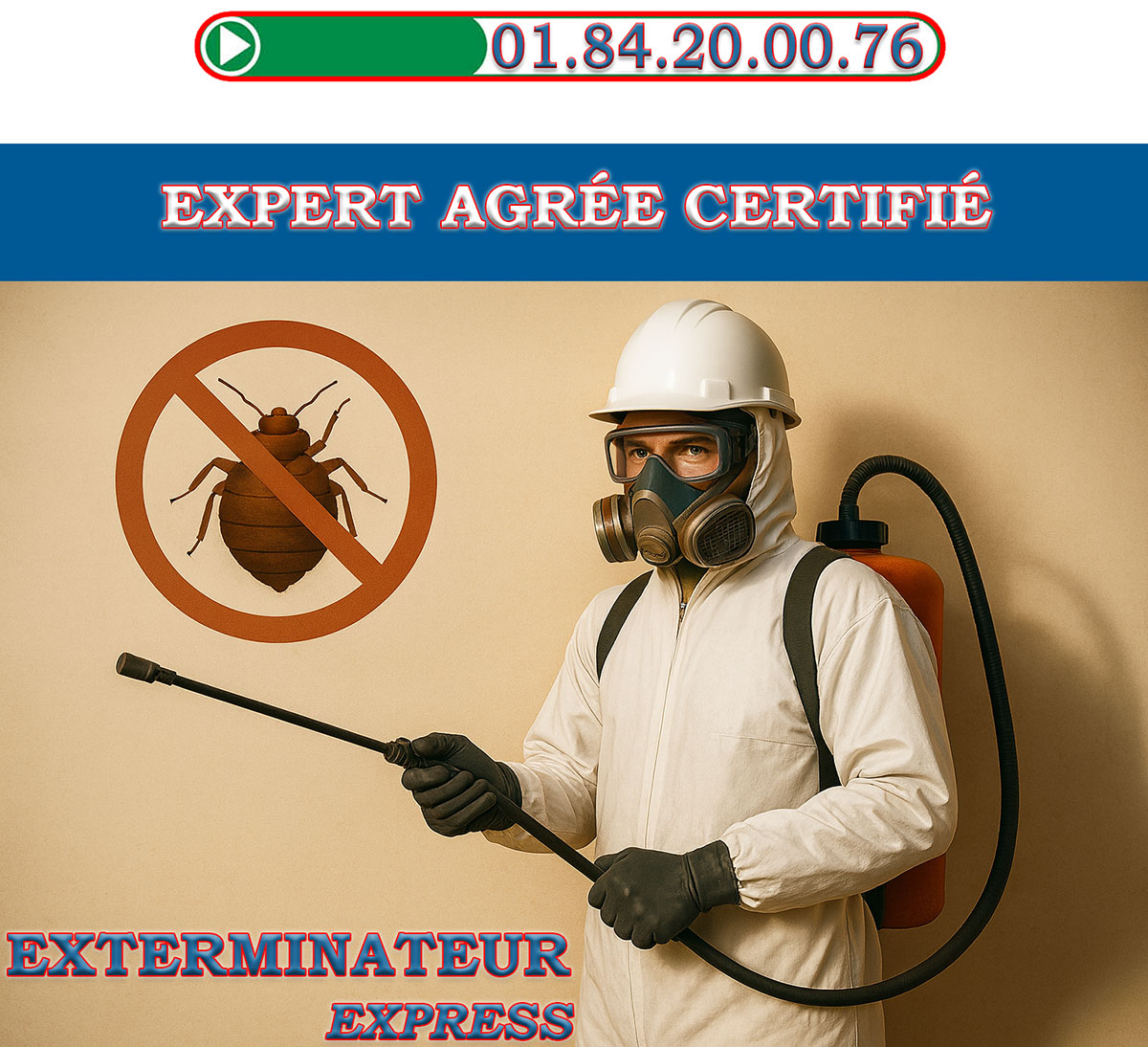 Punaises de Lit Montmorency